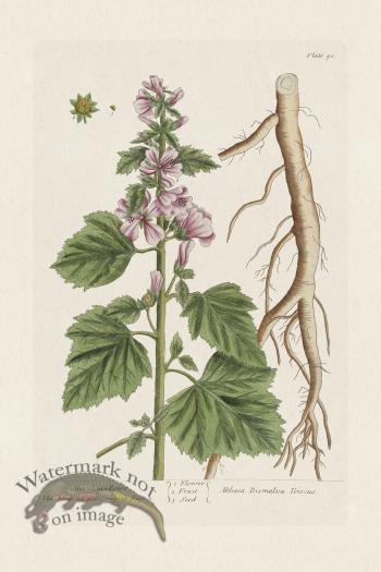 BEE 090 Marshmallows